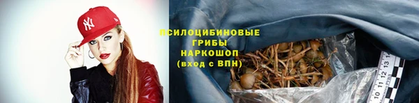 spice Белоозёрский