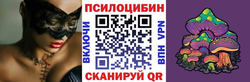 Галлюциногенные грибы Psilocybe  Купить  Мытищи 