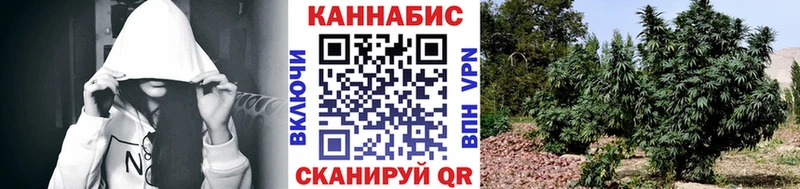 Купить закладки  Мытищи  Бошки марихуана тримм 